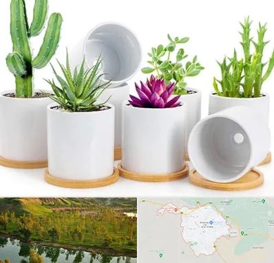 فروش گلدان سرامیکی در بهبهان