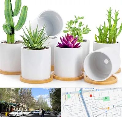 فروش گلدان سرامیکی در کوی فیروز تبریز