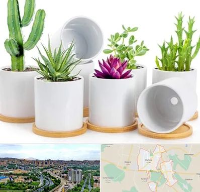 فروش گلدان سرامیکی در شهریار