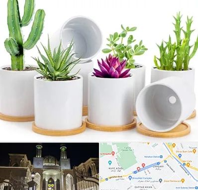 فروش گلدان سرامیکی در زرگری شیراز 