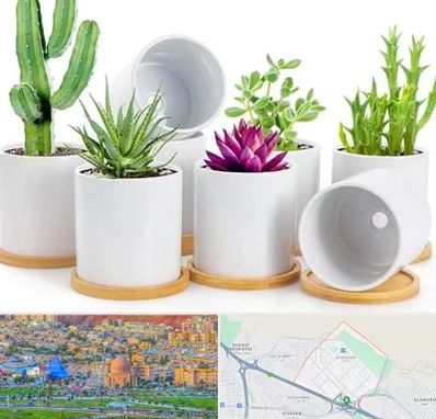 فروش گلدان سرامیکی در رشدیه تبریز