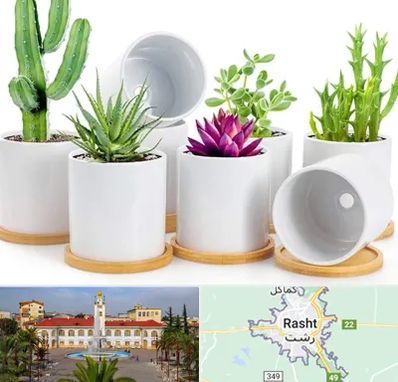 فروش گلدان سرامیکی در رشت