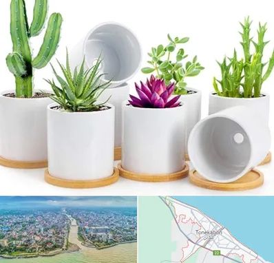 فروش گلدان سرامیکی در تنکابن