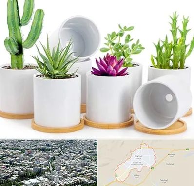 فروش گلدان سرامیکی در شاهرود