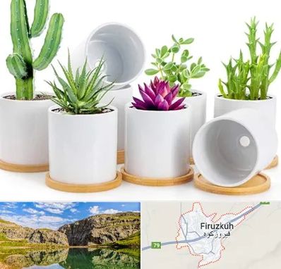 فروش گلدان سرامیکی در فیروزکوه