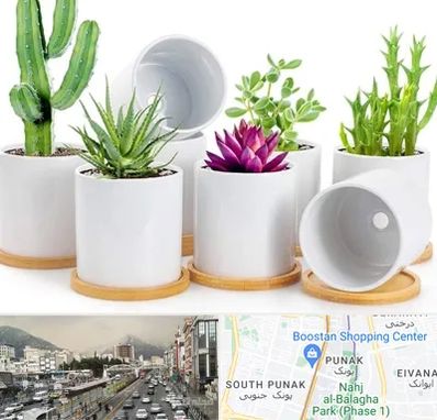 فروش گلدان سرامیکی در پونک 