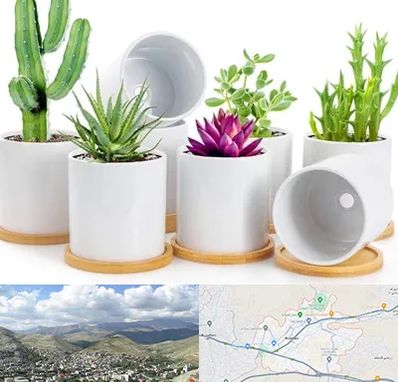 فروش گلدان سرامیکی در رودهن