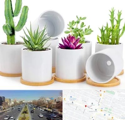 فروش گلدان سرامیکی در بلوار معلم مشهد 