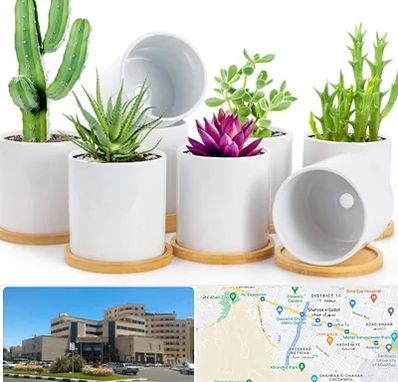 فروش گلدان سرامیکی در صیاد شیرازی مشهد 