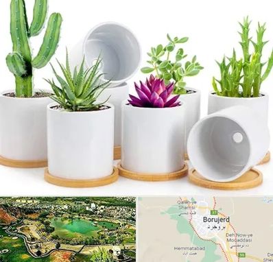 فروش گلدان سرامیکی در بروجرد