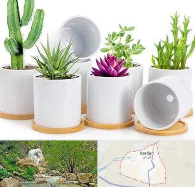فروش گلدان سرامیکی در کردان