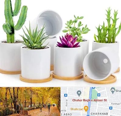 فروش گلدان سرامیکی در چهارباغ اصفهان 