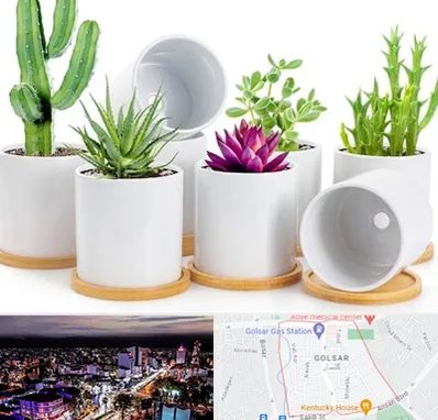 فروش گلدان سرامیکی در گلسار رشت 