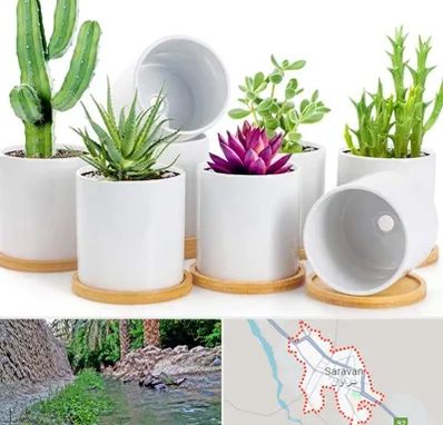 فروش گلدان سرامیکی در سراوان