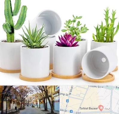 فروش گلدان سرامیکی در تربیت تبریز