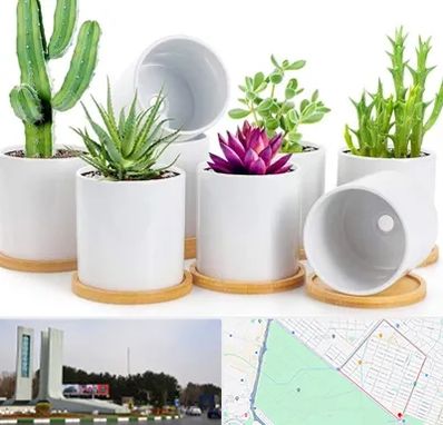 فروش گلدان سرامیکی در بلوار فلسیطین مشهد