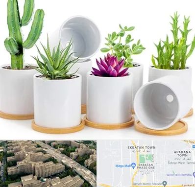 فروش گلدان سرامیکی در اکباتان 