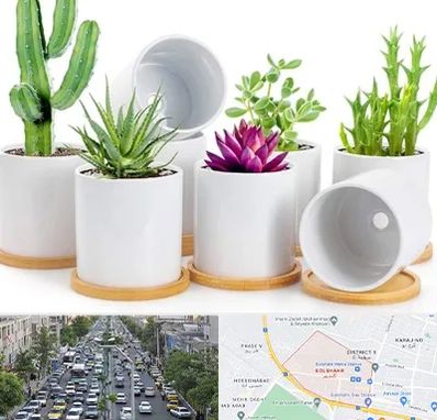 فروش گلدان سرامیکی در گلشهر کرج 