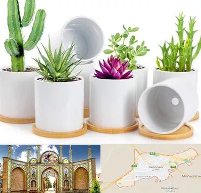 فروش گلدان سرامیکی در سمنان