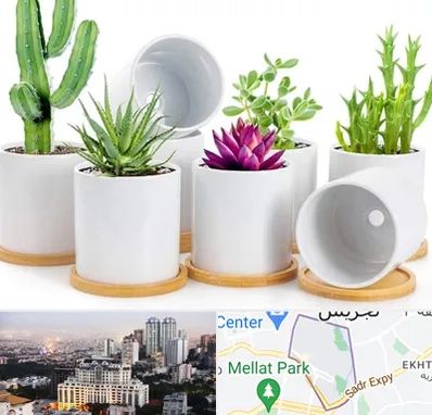 فروش گلدان سرامیکی در الهیه 