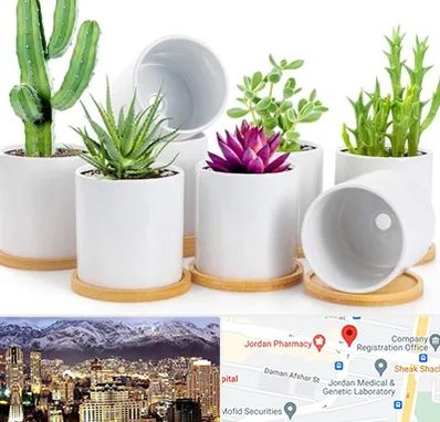 فروش گلدان سرامیکی در جردن 