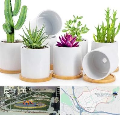 فروش گلدان سرامیکی در مرزداران تبریز