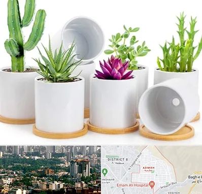 فروش گلدان سرامیکی در عظیمیه کرج 