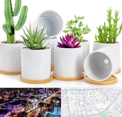 فروش گلدان سرامیکی در منظریه رشت 