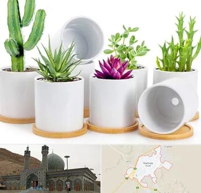 فروش گلدان سرامیکی در شهرضا