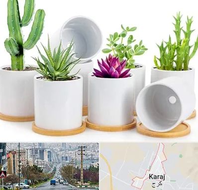 فروش گلدان سرامیکی در گوهردشت کرج 