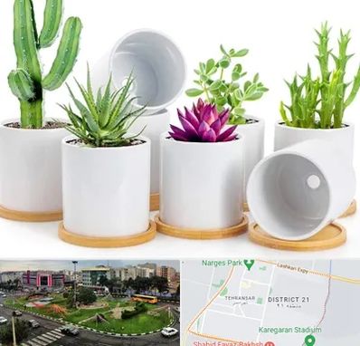 فروش گلدان سرامیکی در تهرانسر 
