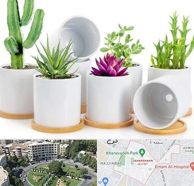 فروش گلدان سرامیکی در جهانشهر کرج 