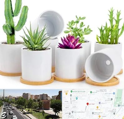 فروش گلدان سرامیکی در شهرک آزمایش 