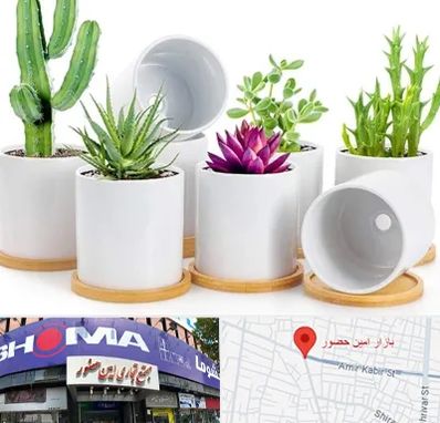 فروش گلدان سرامیکی در امین حضور