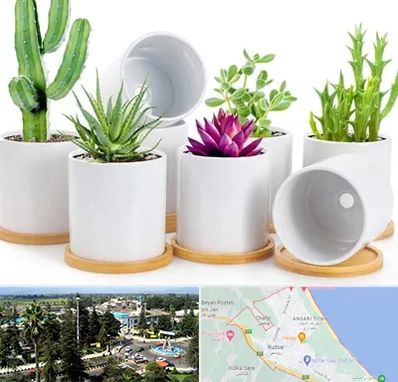 فروش گلدان سرامیکی در رودسر