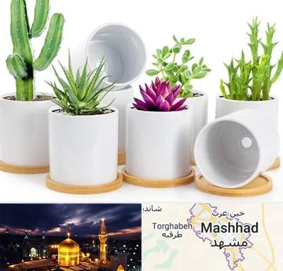 فروش گلدان سرامیکی در مشهد