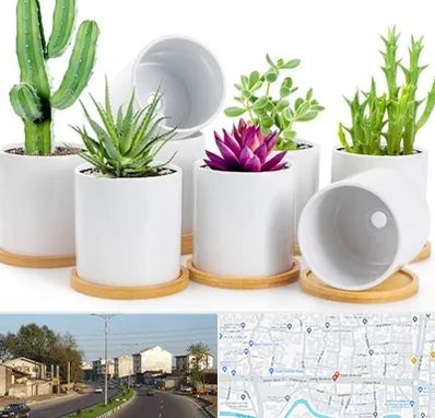 فروش گلدان سرامیکی در ضیابری رشت 