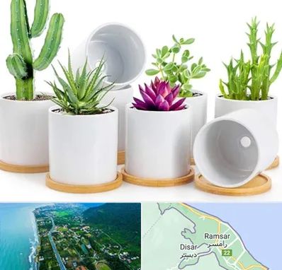فروش گلدان سرامیکی در رامسر