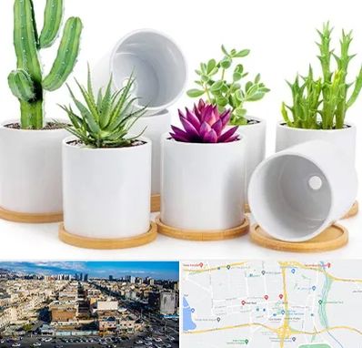 فروش گلدان سرامیکی در شهرک راه آهن 