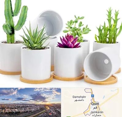 فروش گلدان سرامیکی در قم