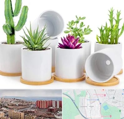 فروش گلدان سرامیکی در سهند تبریز