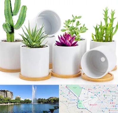 فروش گلدان سرامیکی در کوهسنگی مشهد 