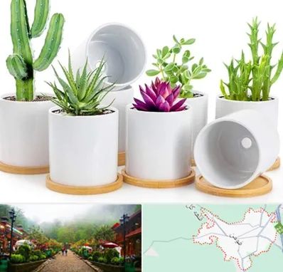 فروش گلدان سرامیکی در فومن