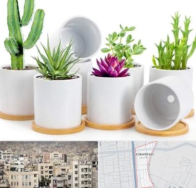 فروش گلدان سرامیکی در اسکندری