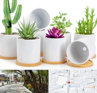 فروش گلدان سرامیکی در خیابان توحید اصفهان 