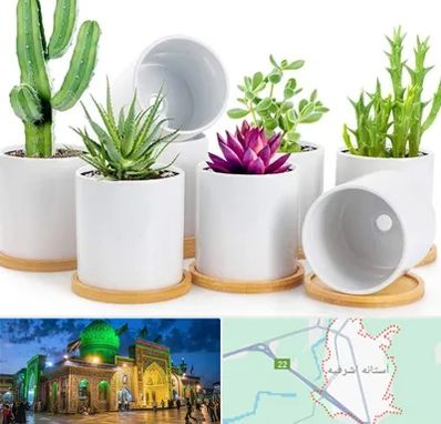 فروش گلدان سرامیکی در آستانه اشرفیه