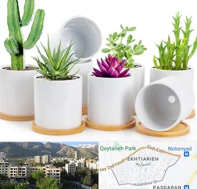فروش گلدان سرامیکی در اختیاریه 