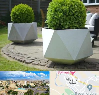 فروش گلدان فایبرگلاس در میانه