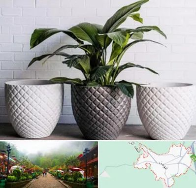 فروش گلدان پلاستیکی در فومن