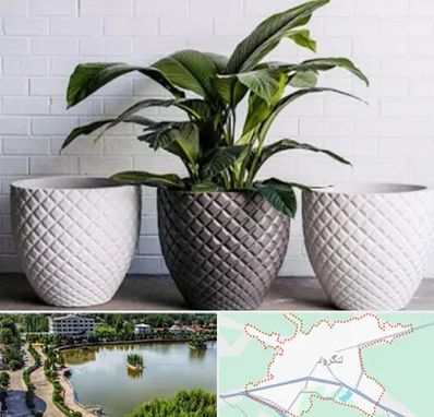 فروش گلدان پلاستیکی در لنگرود